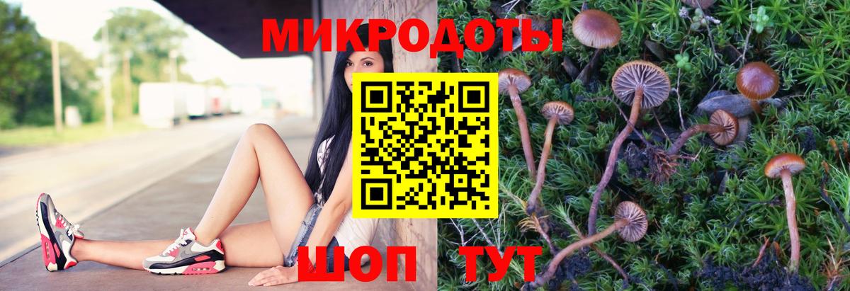 Галлюциногенные грибы GOLDEN TEACHER Рузаевка